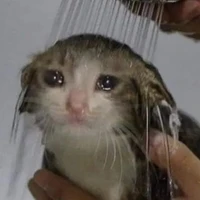 Con tác giả bị lười