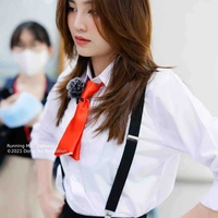 Lan Ngọc