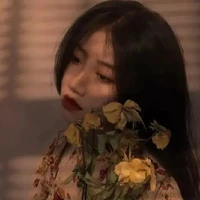 Park Y/n