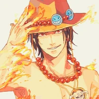 Pogast D Ace
