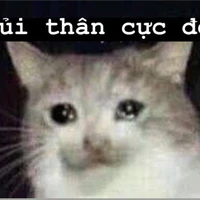 an+vân
