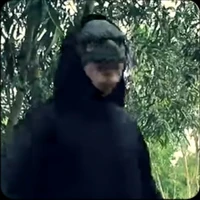 con chó