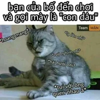 tác giả xấu goái