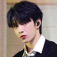 Lưu Diệu Văn ( anh )