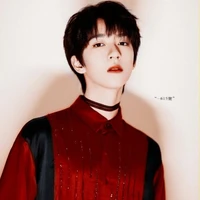 Hạ Tuấn Lâm ( anh )