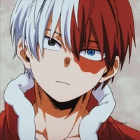 Todoroki Shoto