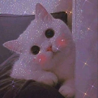 Pé Heo_pet của tg