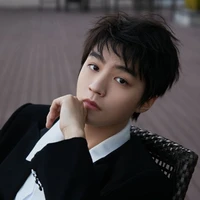 Vương Tuấn Khải ( anh )