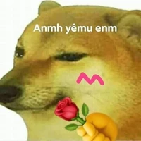 con tác giả dth
