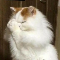 T/g Lười~