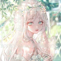 Y/N