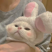 tác giả nè chừi:3