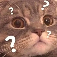 Tác giả siêu cong