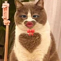 Tácgiảbịbệnhmítmọctrongbụng