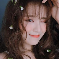 Han Sara