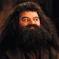 Bác Hagrid