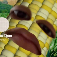 Tác giả xàm 💅😏