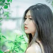 Hoa Vô Như-tx