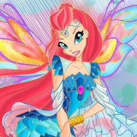 Bloom