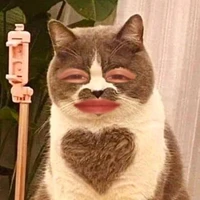 Bà tác giả