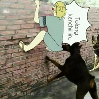 tg ngáo ngơ