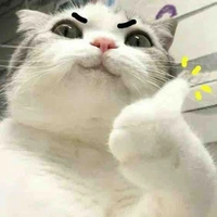 Tác giả thiểu năng