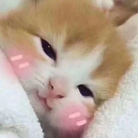 tác giả nè:33