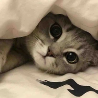 Milo
