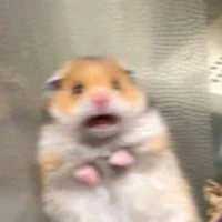 Tác giả UvU