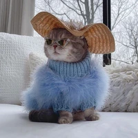 mèo mẹ