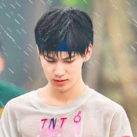 Trương Chân Nguyên