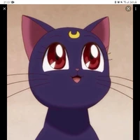 mèo Luna