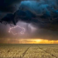 họ hàng của Cô