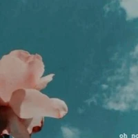 Error 042