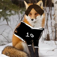 Cáo Tây Tạng thik chụp ảnh dìm