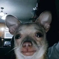 Tác giả khùm điênk:<<