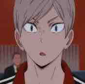 Lev Haiba