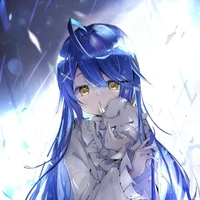Tako Hawari