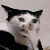 Kui lè kát dả=(