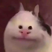 cả bọn