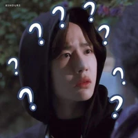Wang YiBo