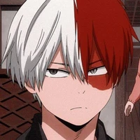 Todoroki Shouto