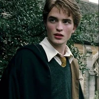 cedric diggory