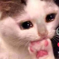 H.s
