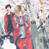 Team Nekoma