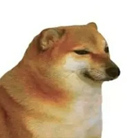 con chó mang tên Tèo