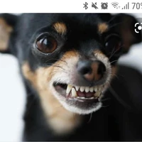 Mây đứa ghét thụ