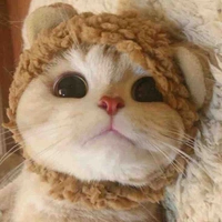 Tác giả thiếu muối