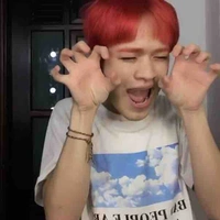 Meo meo