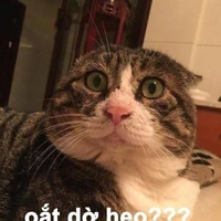 cướp